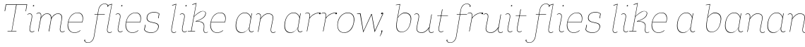 TT Coats Thin Italic