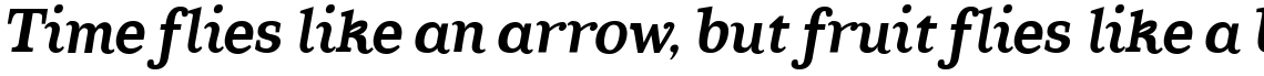 TT Coats Bold Italic