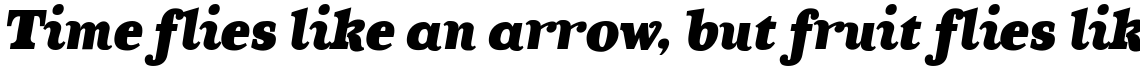 TT Coats Black Italic