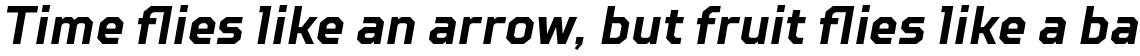 TT Squares Condensed Bold Italic