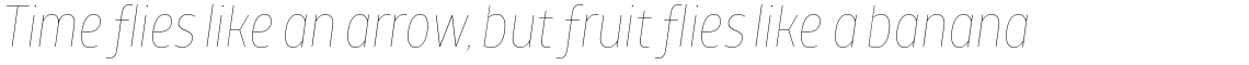 TT Teds Hairline Italic