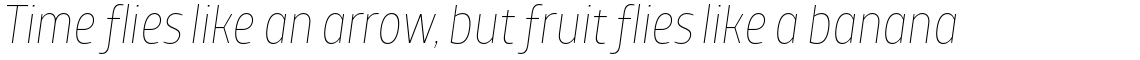TT Teds Thin Italic