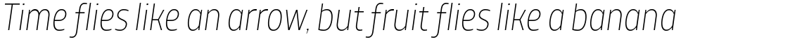TT Teds ExtraLight Italic