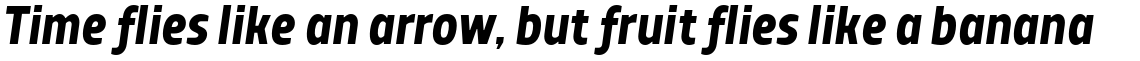 TT Teds Bold Italic