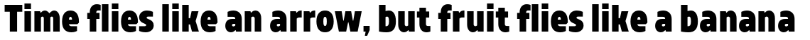 TT Teds ExtraBold