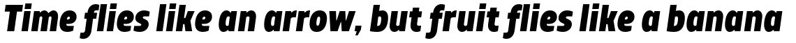 TT Teds ExtraBold Italic