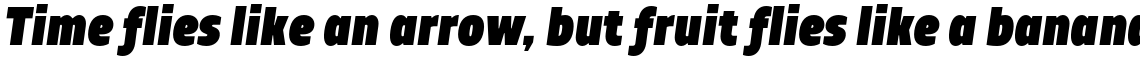 TT Teds Black Italic