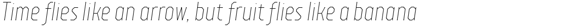 TT Octas Thin Italic
