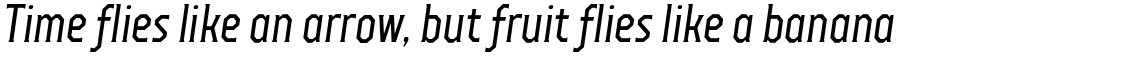 TT Octas Regular Italic