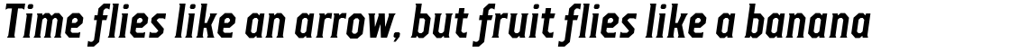 TT Octas Bold Italic