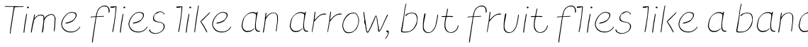 TT Blushes Thin Italic