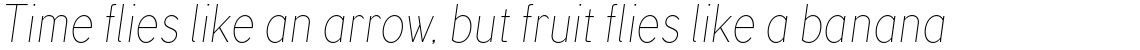 TT Corals Thin Italic