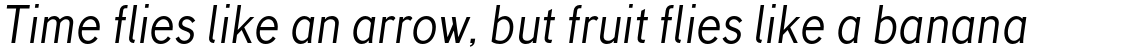 TT Corals Italic