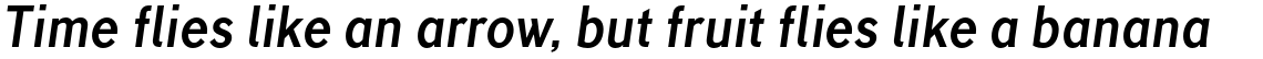 TT Corals Bold Italic