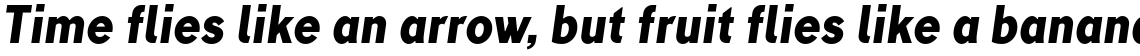 TT Corals ExtraBold Italic