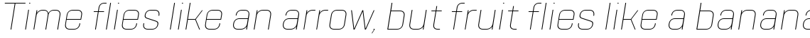 TT Lakes Thin Italic