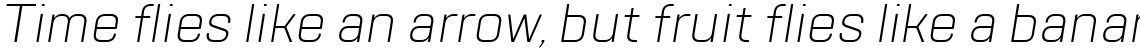 TT Lakes Light Italic