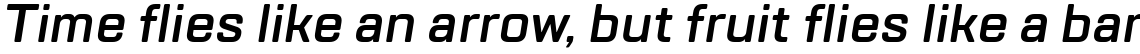 TT Lakes DemiBold Italic