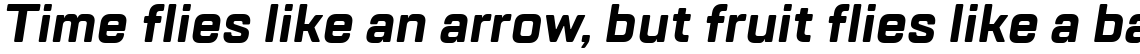 TT Lakes Bold Italic