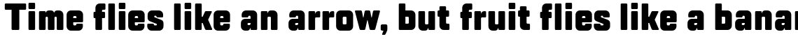 TT Lakes Condensed Black