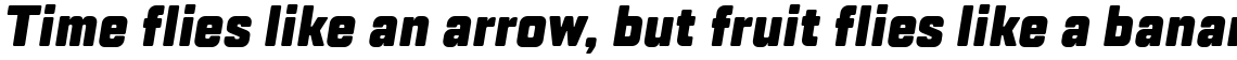 TT Lakes Condensed Black Italic