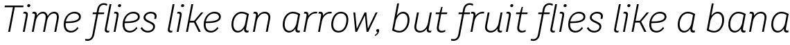 TT Hazelnuts Light Italic