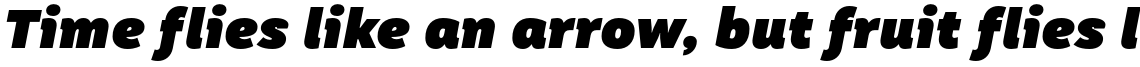 TT Hazelnuts Heavy Italic