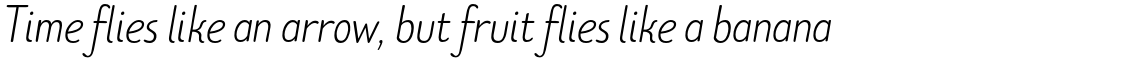 TT Limes Sans Light Italic