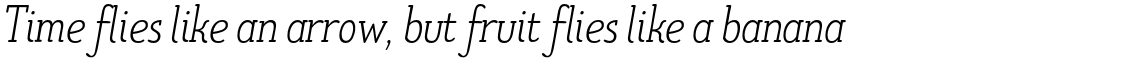 TT Limes Slab Light Italic
