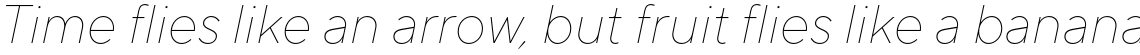 TT Norms Pro Thin Italic