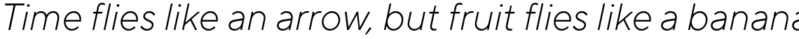 TT Norms Pro Light Italic