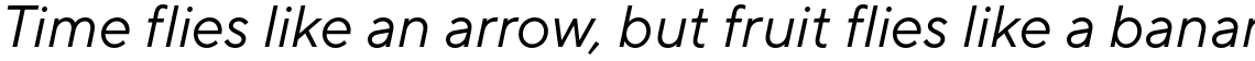 TT Norms Pro Regular Italic