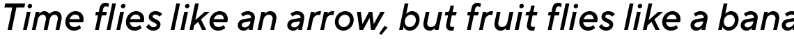 TT Norms Pro Medium Italic