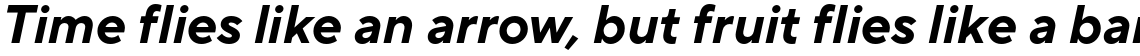 TT Norms Pro Bold Italic