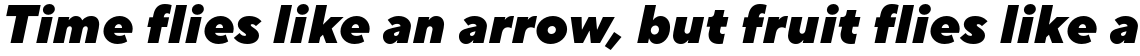TT Norms Pro Black Italic