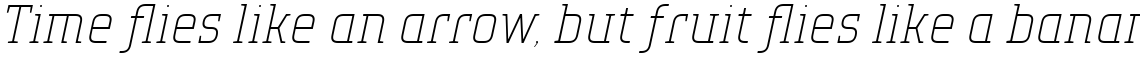 TT Polls Thin Italic