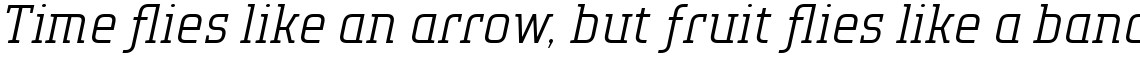 TT Polls Light Italic