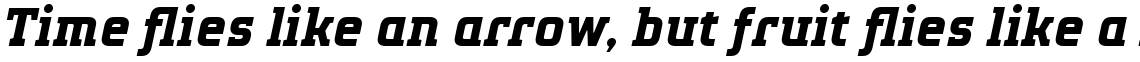 TT Polls Bold Italic