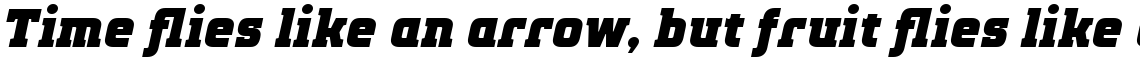 TT Polls Black Italic