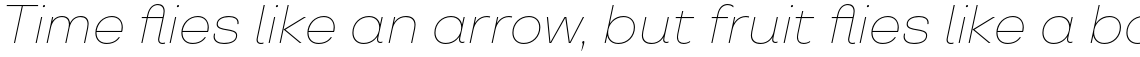 TT Travels Thin Italic