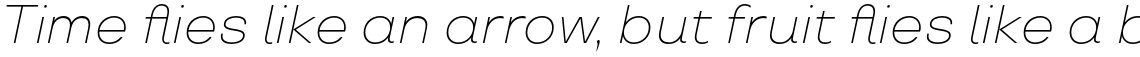 TT Travels ExtraLight Italic