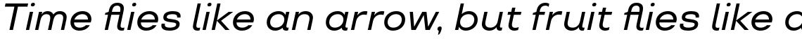 TT Travels Medium Italic
