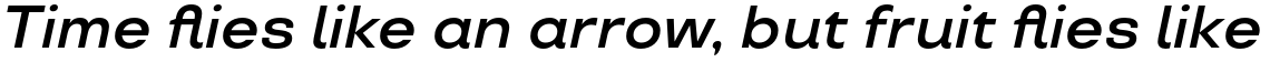 TT Travels DemiBold Italic