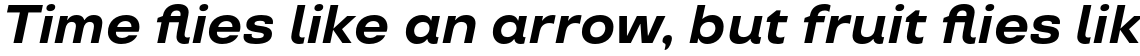 TT Travels Bold Italic