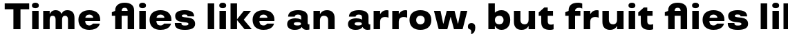 TT Travels ExtraBold