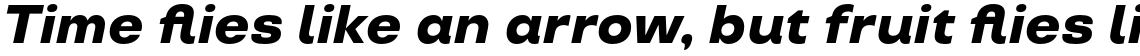 TT Travels ExtraBold Italic