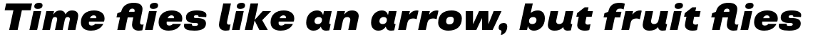 TT Travels Black Italic