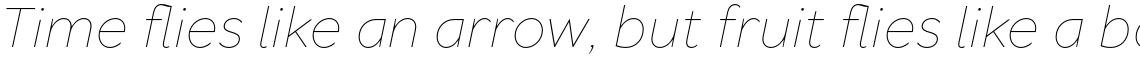 TT Wellingtons Thin Italic
