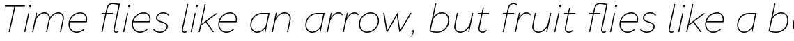 TT Wellingtons ExtraLight Italic