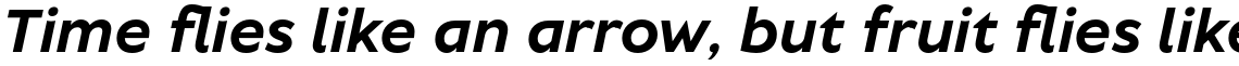 TT Wellingtons Bold Italic